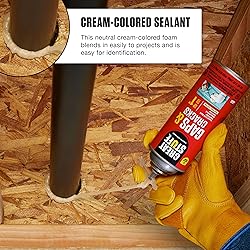 Great Stuff 157911 Insulating Foam Sealant, 20