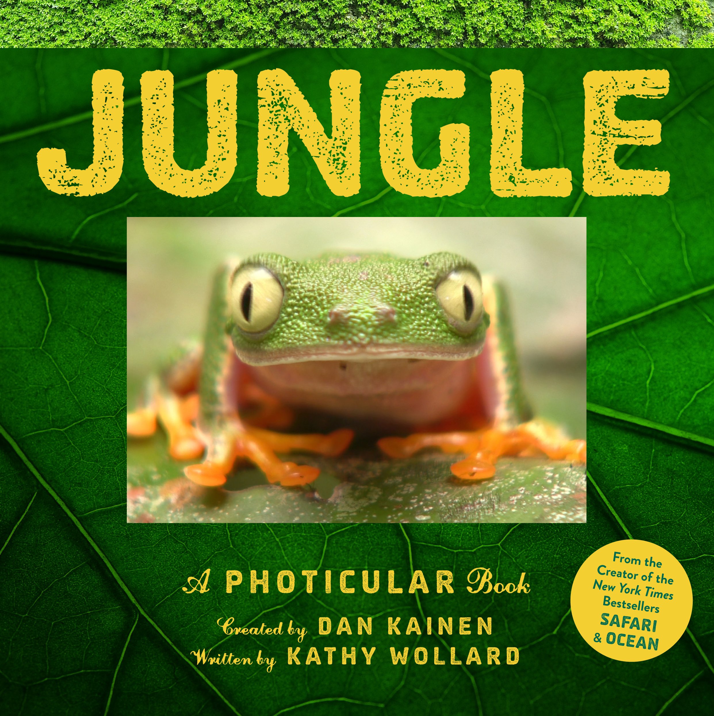 48 Fantastic Rainforest Books for Kids Teaching Expertise