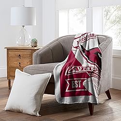 Northwest NFL Arizona Cardinals Unisex-Adult Fleece