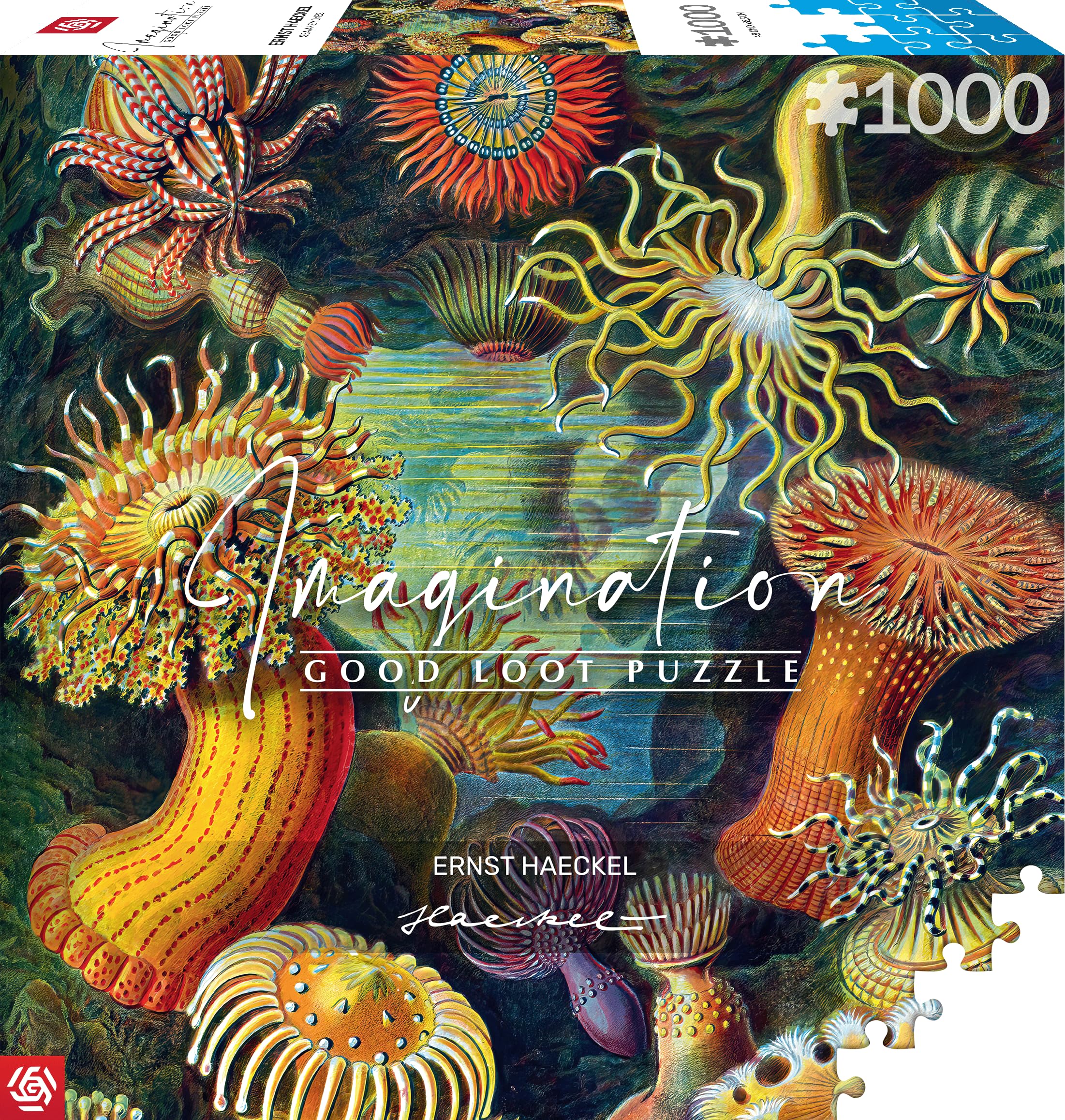 GOOD LOOT Jigsaw Puzzle Imagination Series Ernst Haeckel Sea Anemones - Art with Picture, 1000 Pieces, Adult Puzzles, 68.3 x 48 cm