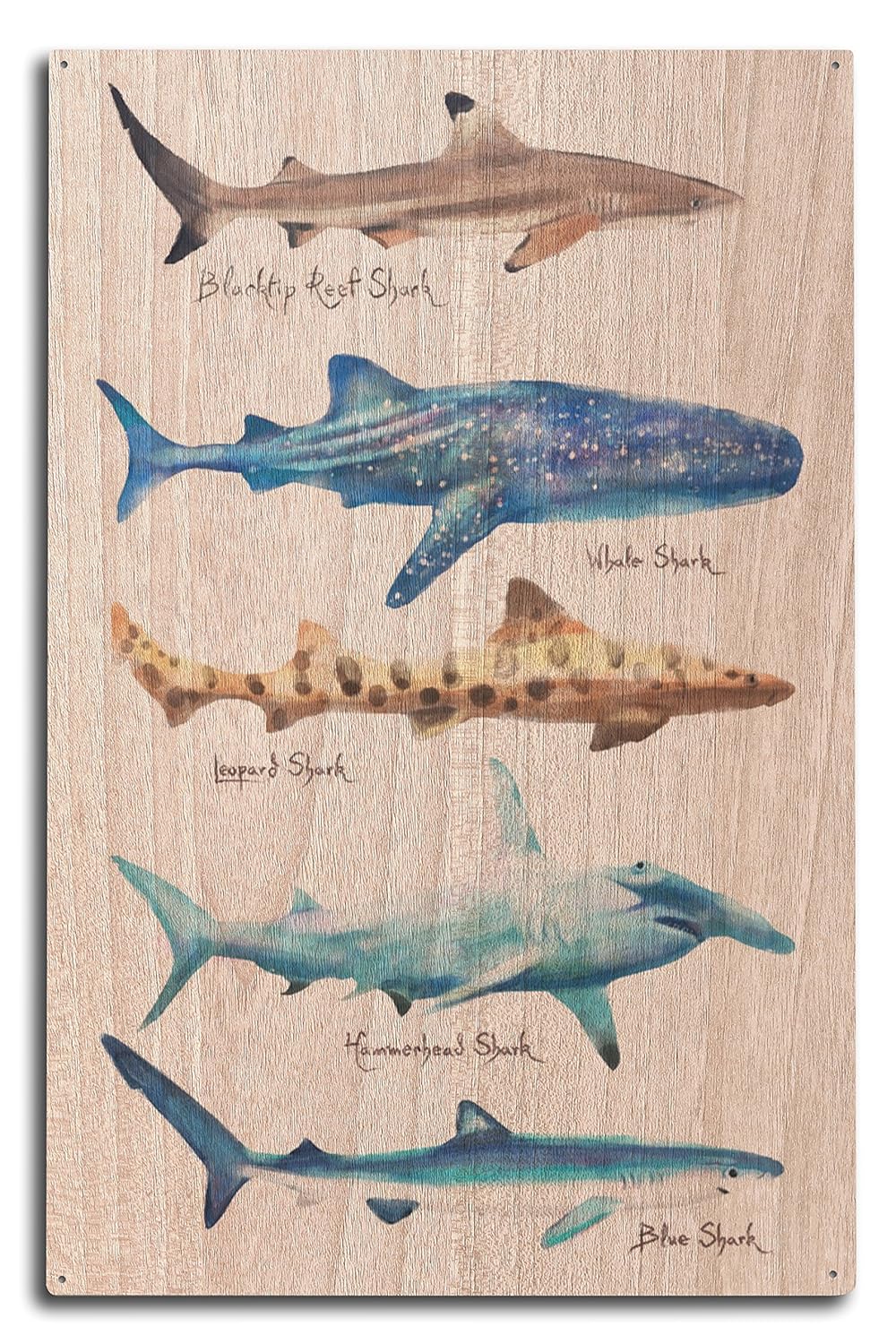 Lantern Press Shark Names - Watercolor (10x15 Wood Wall Sign, Wall Decor Ready to Hang)