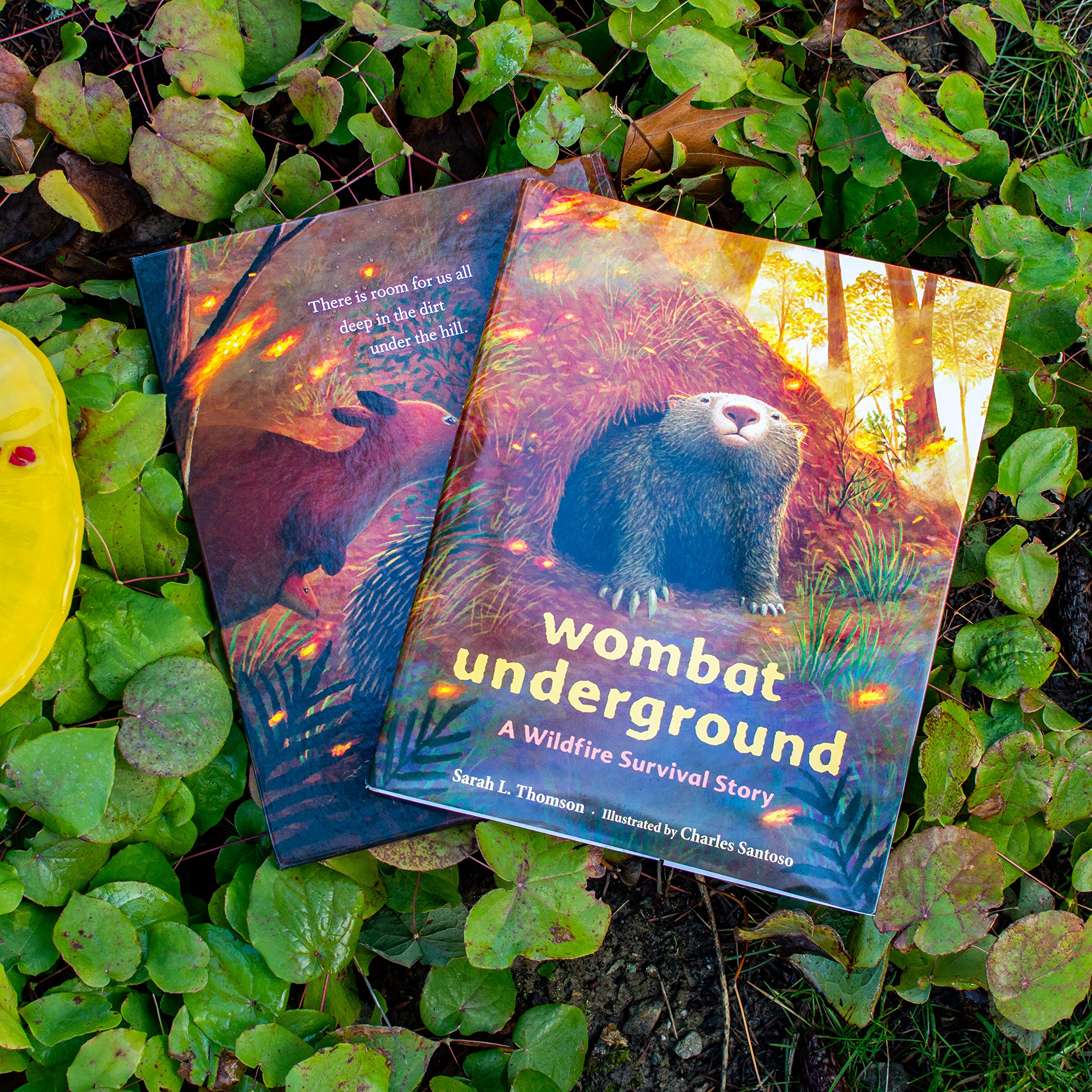 Amazon Wombat Underground A Wildfire Survival Story Thomson Sarah L Santoso Charles Australia Oceania