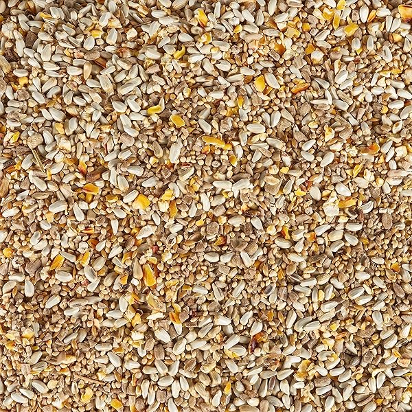 KAYTEE BIRD & BALCONY WILD BIRD FOOD NO MESS SEED BLEND FOR CITY DWELLING BIRDS LIKE FINCHES, SPARROWS, MOURNING DOVES AND MORE, 5 LB