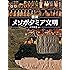 図説　メソポタミア文明 (ふくろうの本／世界の歴史)