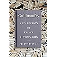 Gallimaufry: A Collection of Essays, Reviews, Bits