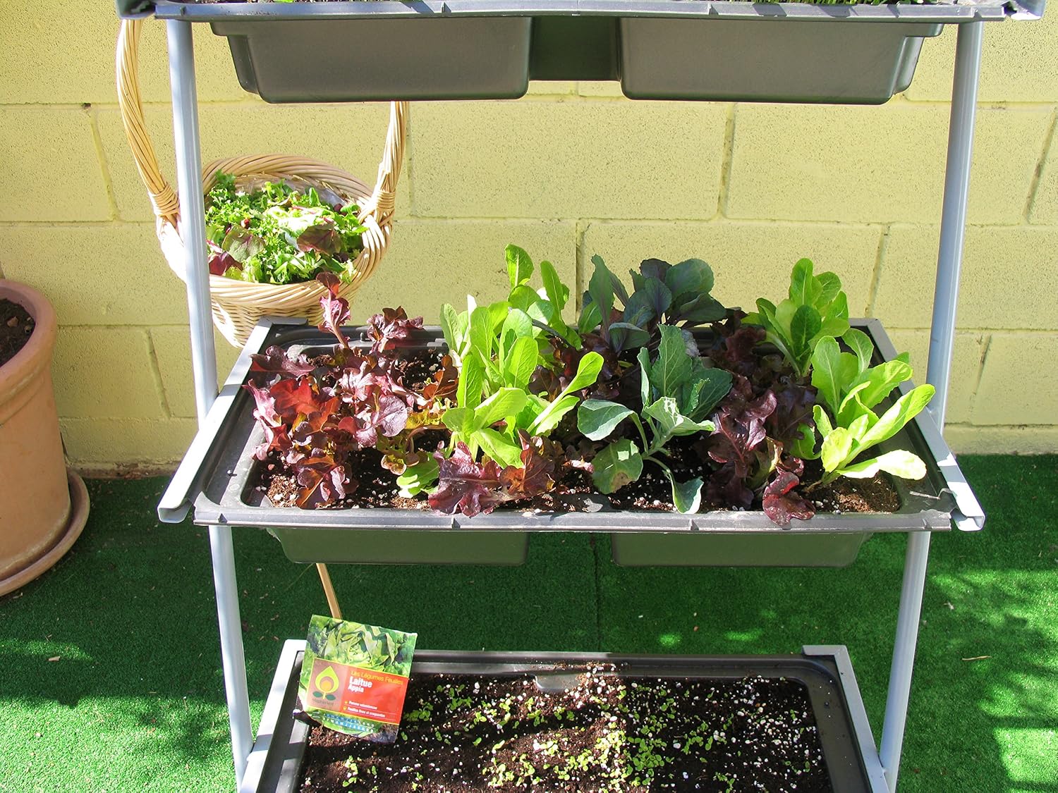 Estantería para macetas, stand para plantas 65x31x136 cm: Amazon ...