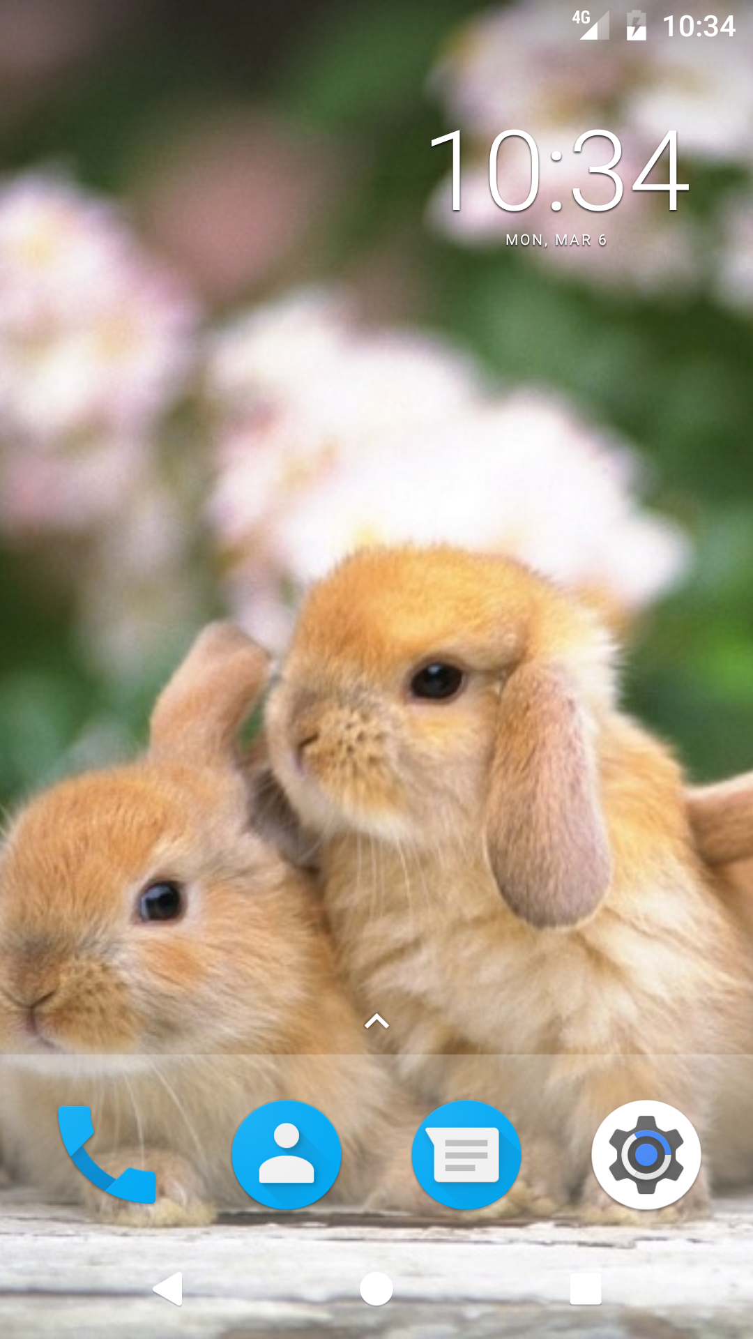 Cute Bunny HD Wallpapers:Amazon.com:Appstore for Android
