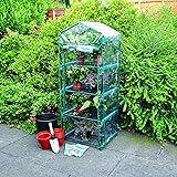 Kingfisher GHPRO Premium 4 Tier Greenhouse - Clear
