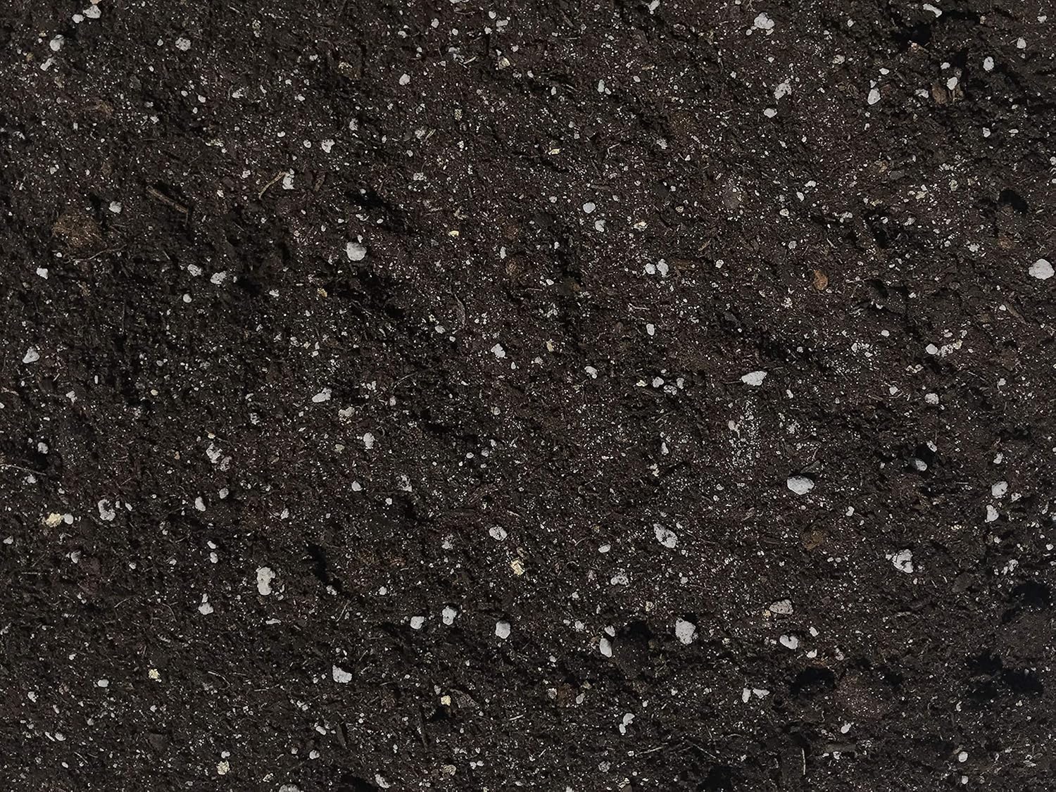 Best Organic Garden Soil For Vegetables