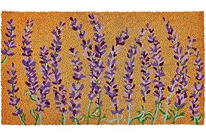 KANKUN Coco Coir Door Mat with Heavy Duty Backing, Welcome Doormat (17" x 30"), Doormat Indoor Entrance (Floral Spring)