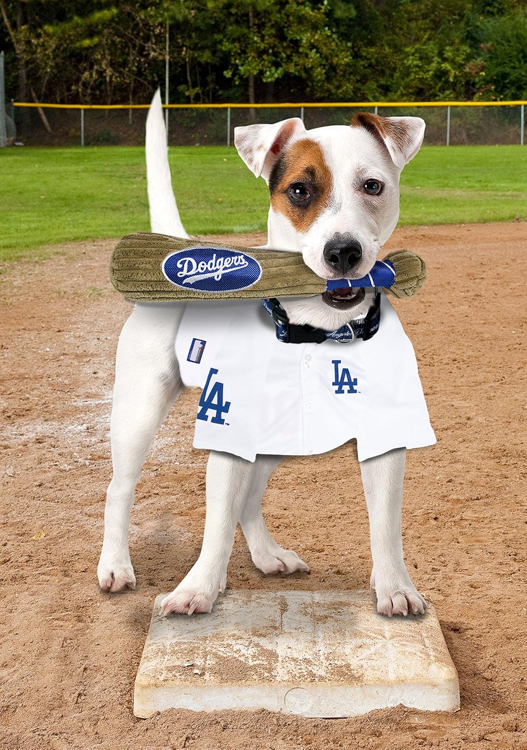 dodger gear for dogs
