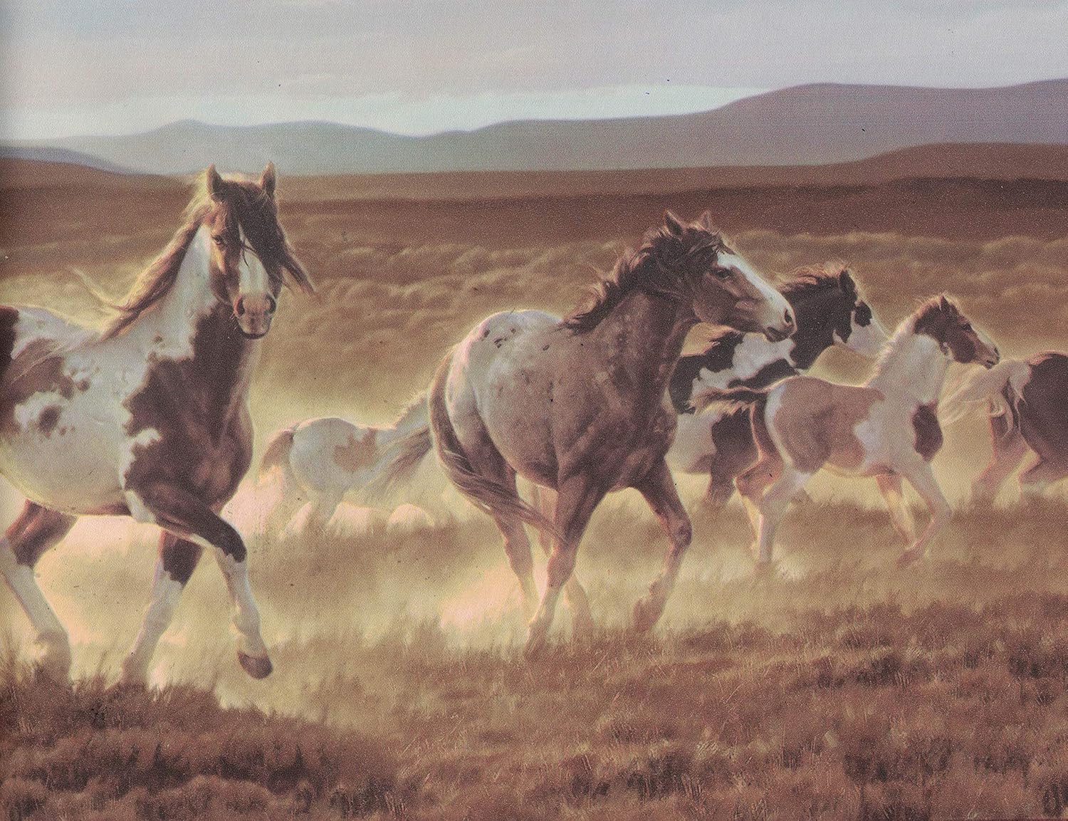 9 In X 15 Ft Prepasted Wallpaper Borders Horses Wall Paper Border B96510 Amazon Com