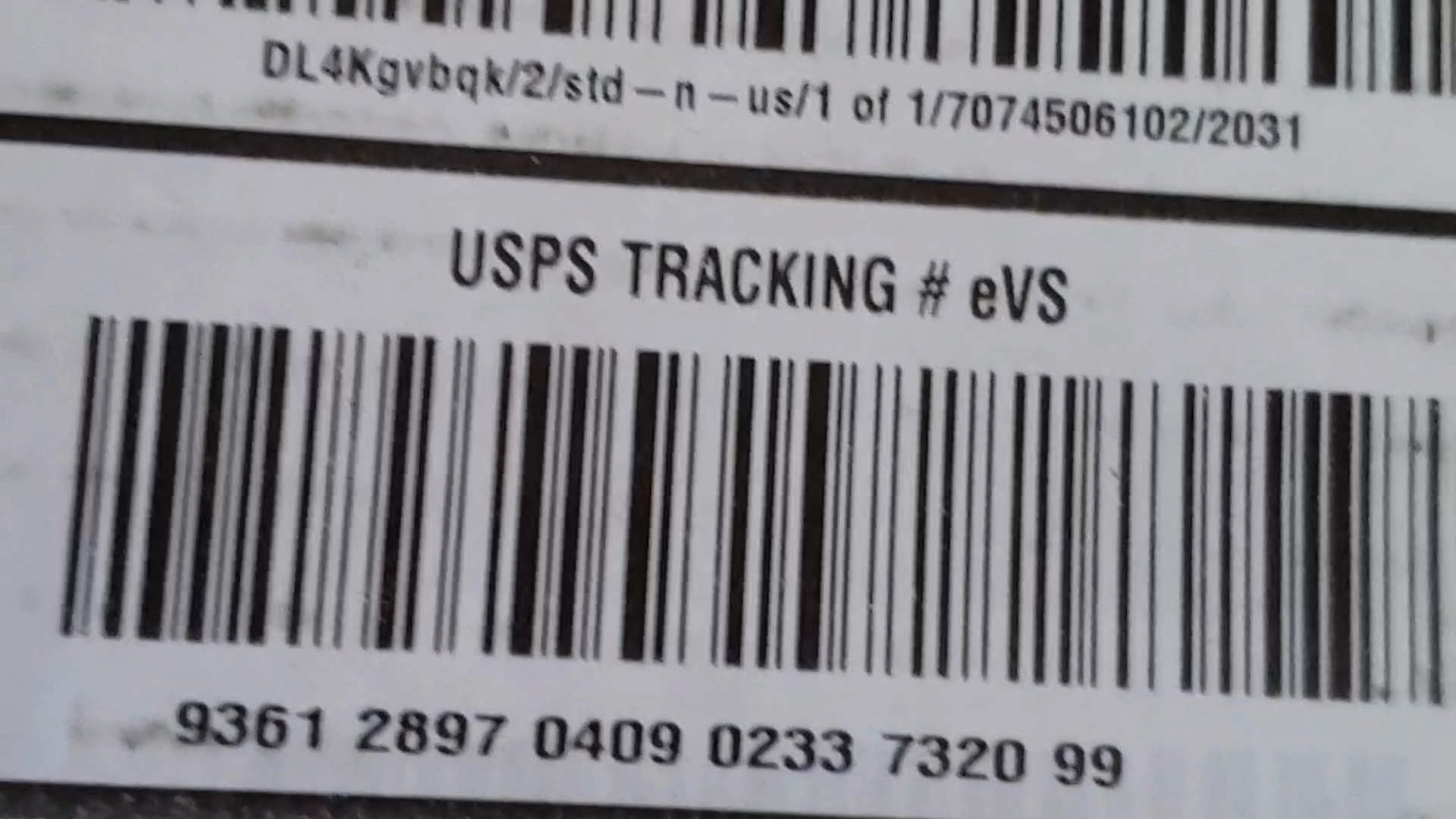 Where my order?  on Amazon Live