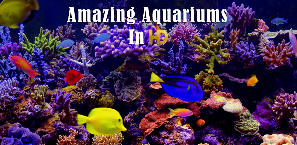 Amazing Aquariums In HD - Thumbnail 3