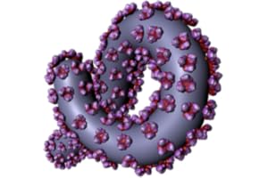 Bio Virus Structure in 3D Virtual Reality
