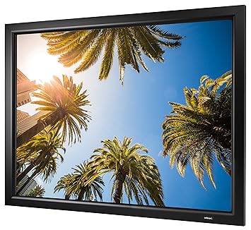 celexon Pantalla de Marco de proyección con planitud Sistema Plug ...