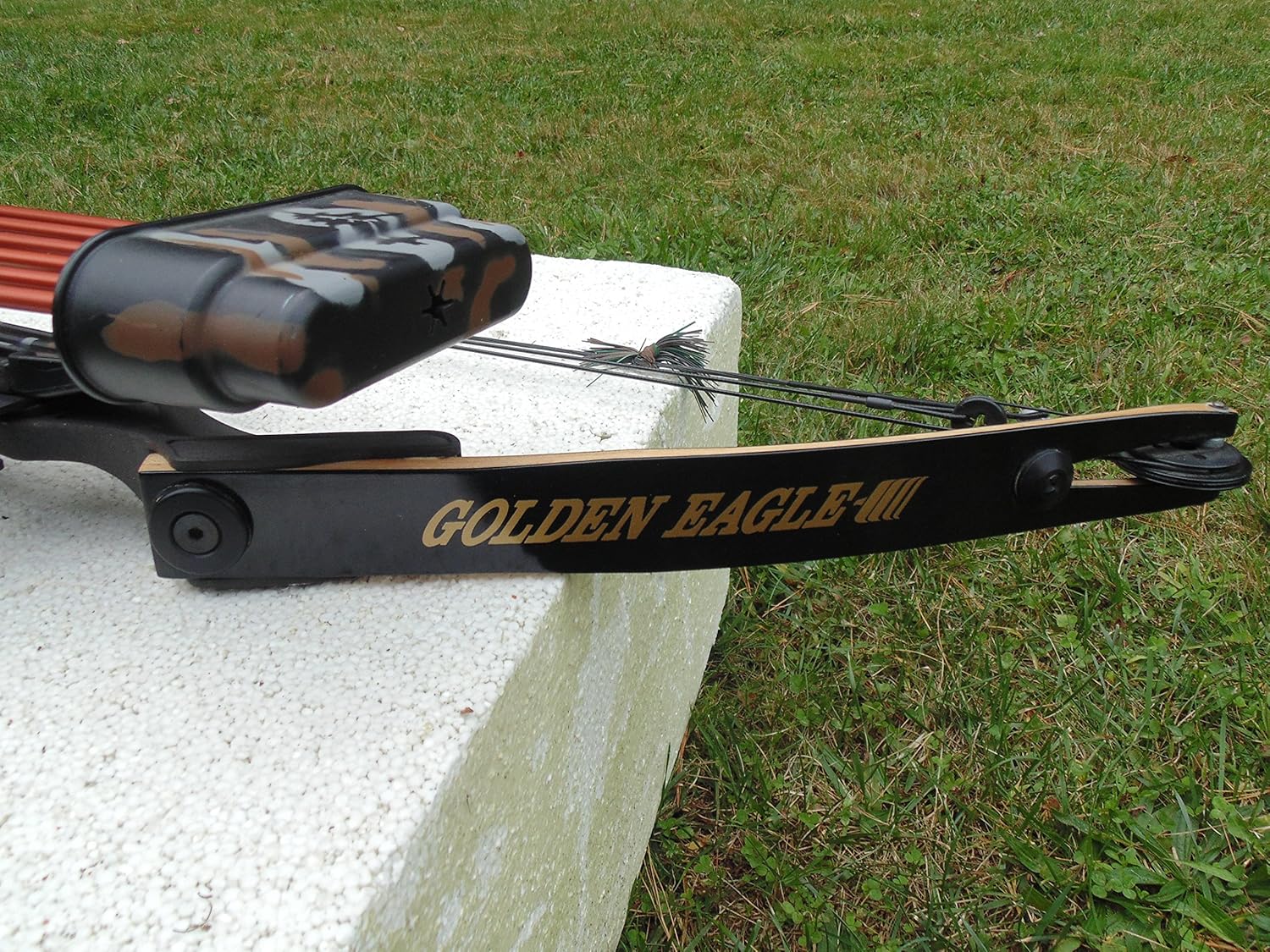 Golden Eagle Reaper Compound Bow The Best Quality Eagle