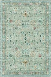 Living Room Area Rug - 6x9 Washable Low Pile