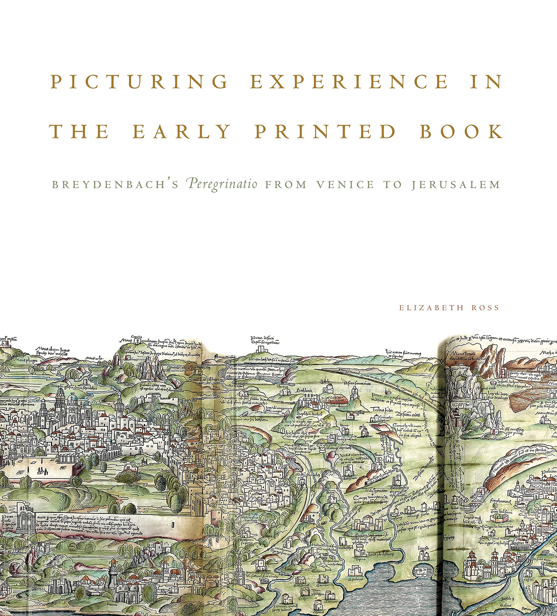 Picturing Experience in the Early Printed