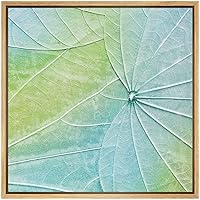 SIGNWIN Framed Canvas Wall Art Baby Blue, Green, Yellow Transparent Spring Lotus Leaf Botanical Plants Photography Minimalism Modern XRay Relax/Calm for Living Room, Bedroom, Office - 16x16 inches