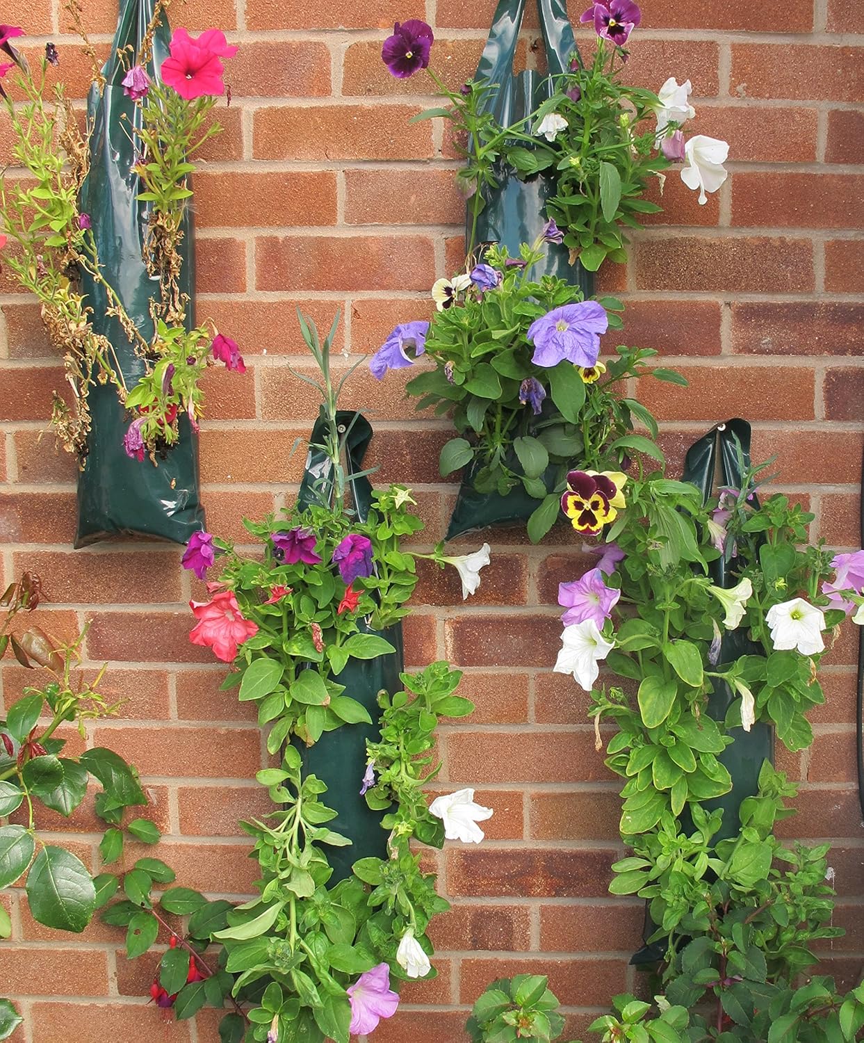 Hanging Flower and Plant Pouches 6 Bags Amazon.co.uk Garden & Outdoors