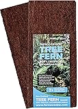 Fernwood Tree Fern Panels, Twin Pack for Vivarium, Terrarium, Drip Walls, Pets and Substrate
