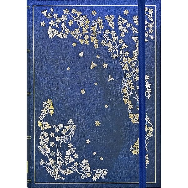 Amazon.com: Japanese Screen Journal (Magnetic Flap Closure) (New