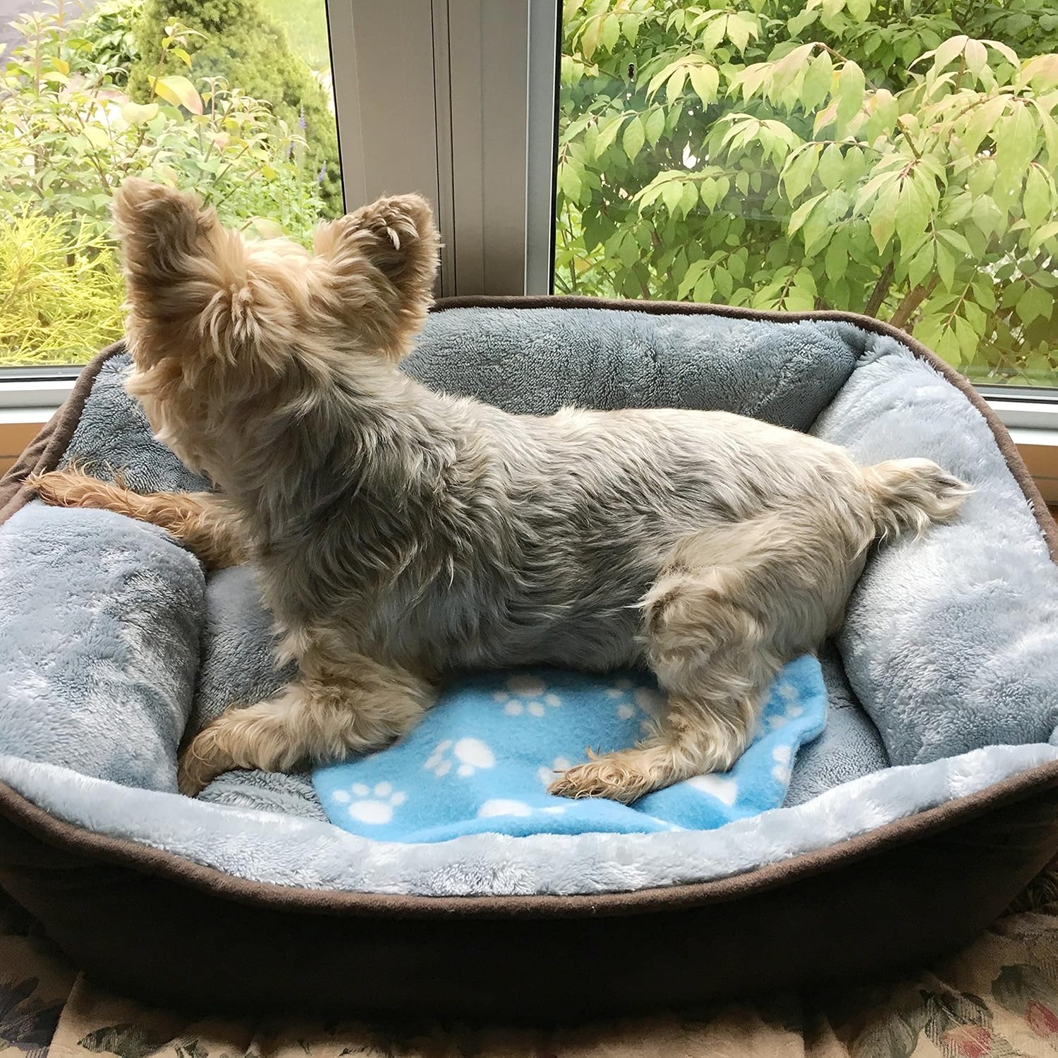 Pet Fit For Life Snuggle Soft Cooling and Microwave Heating Gel Pad Safe for Cats, Dogs and All Pets : Pet Supplies