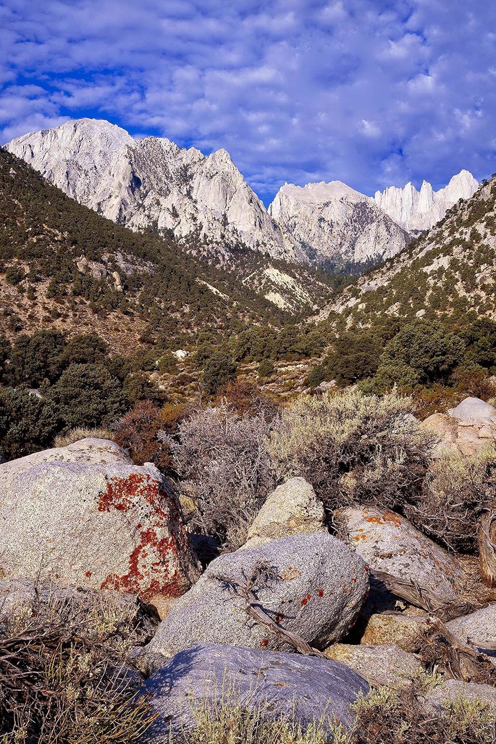 Amazon Com Mount Whitney Sierra Nevada Mountains California Landscape Photo Nature Photography Wall Art Home Decor Office Decor Sizes Up To 44x66 Inches Fine Art Print Signed By The Artist Handmade
