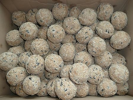 200 x 90g Meisenknödel ohne Netz Wildvogelfutter Ganzjahresknödel