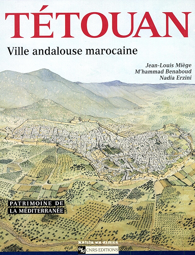 Download Tétouan: Ville andalouse marocaine (Patrimoine de la Méditerranée) PDF