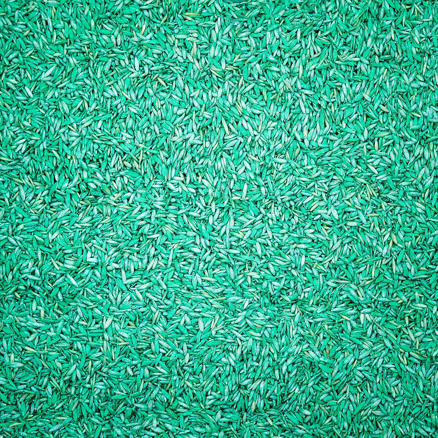 Pennington Smart Sun and Shade Grass Seed, 7 Pounds : Grass Plants : Garden & Outdoor