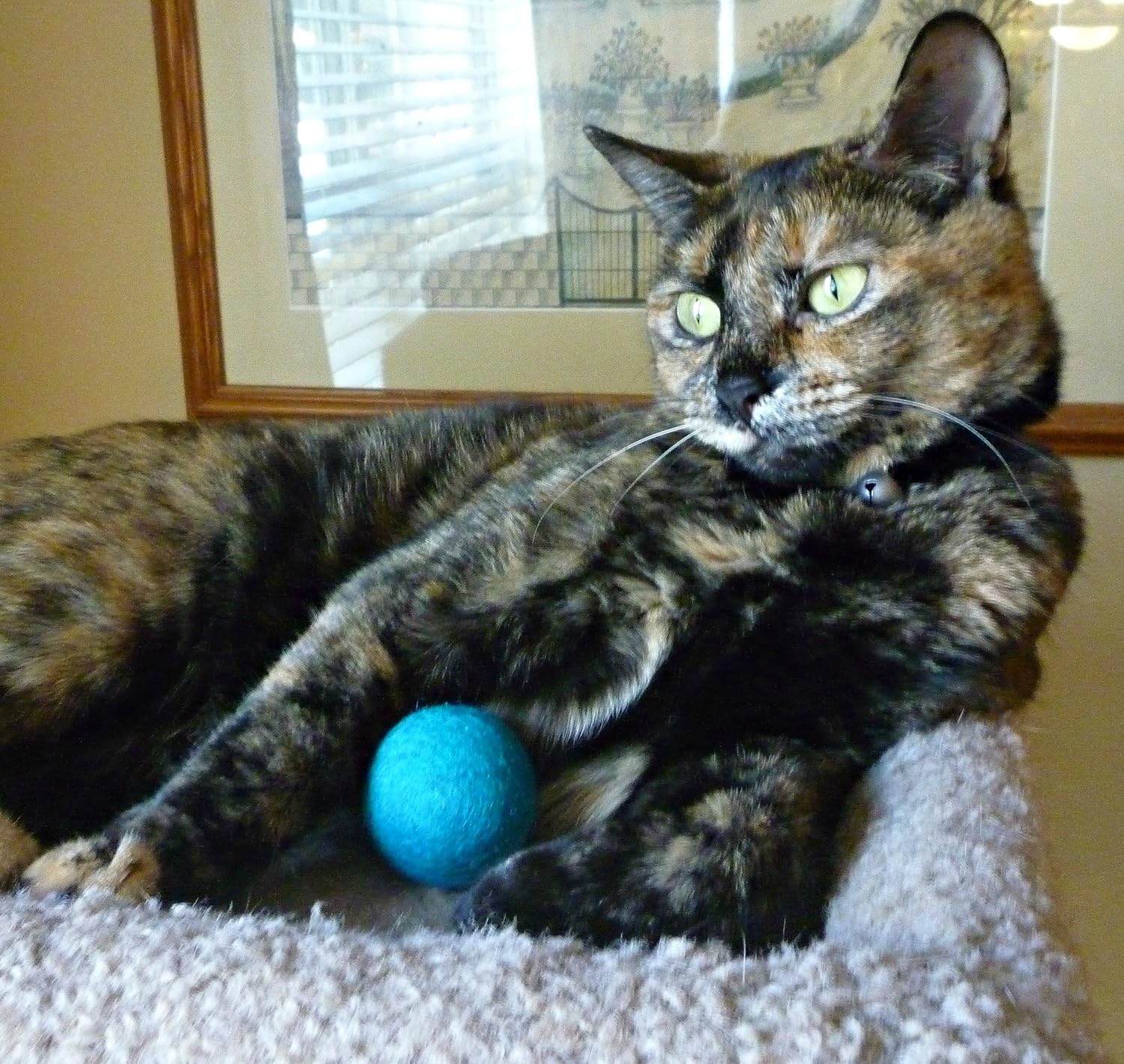 Earthtone Solutions Wool Felt Ball Toys for Cats and Kittens, Fun Adorable Colorful Soft Quiet Felted Fabric Balls, Unique Handmade Natural, Perfect for Cat Lover, Craft Supplies : Pet Supplies