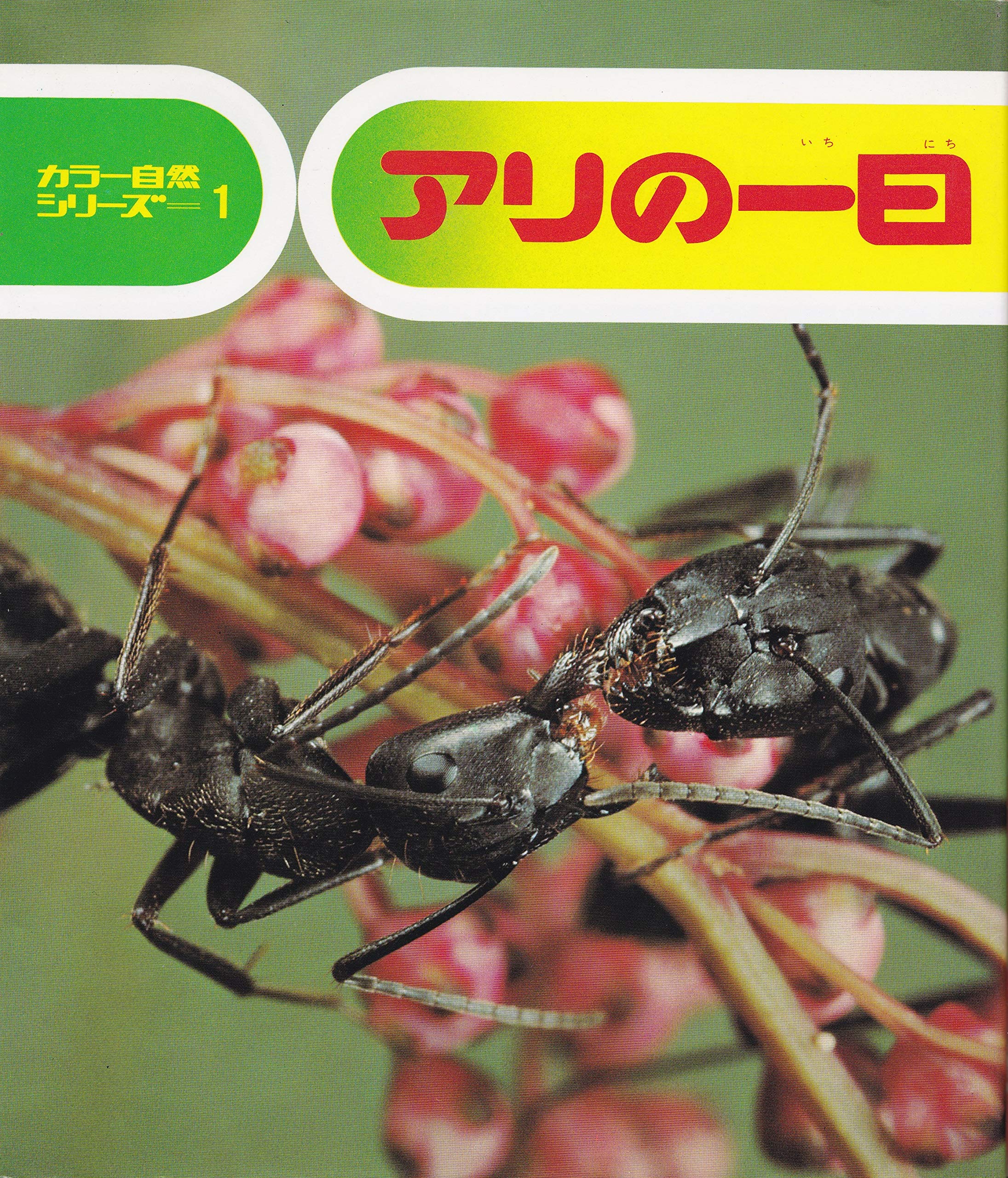 アリの一日 カラー自然シリーズ 1 七尾 純 栗林 慧 本 通販 Amazon