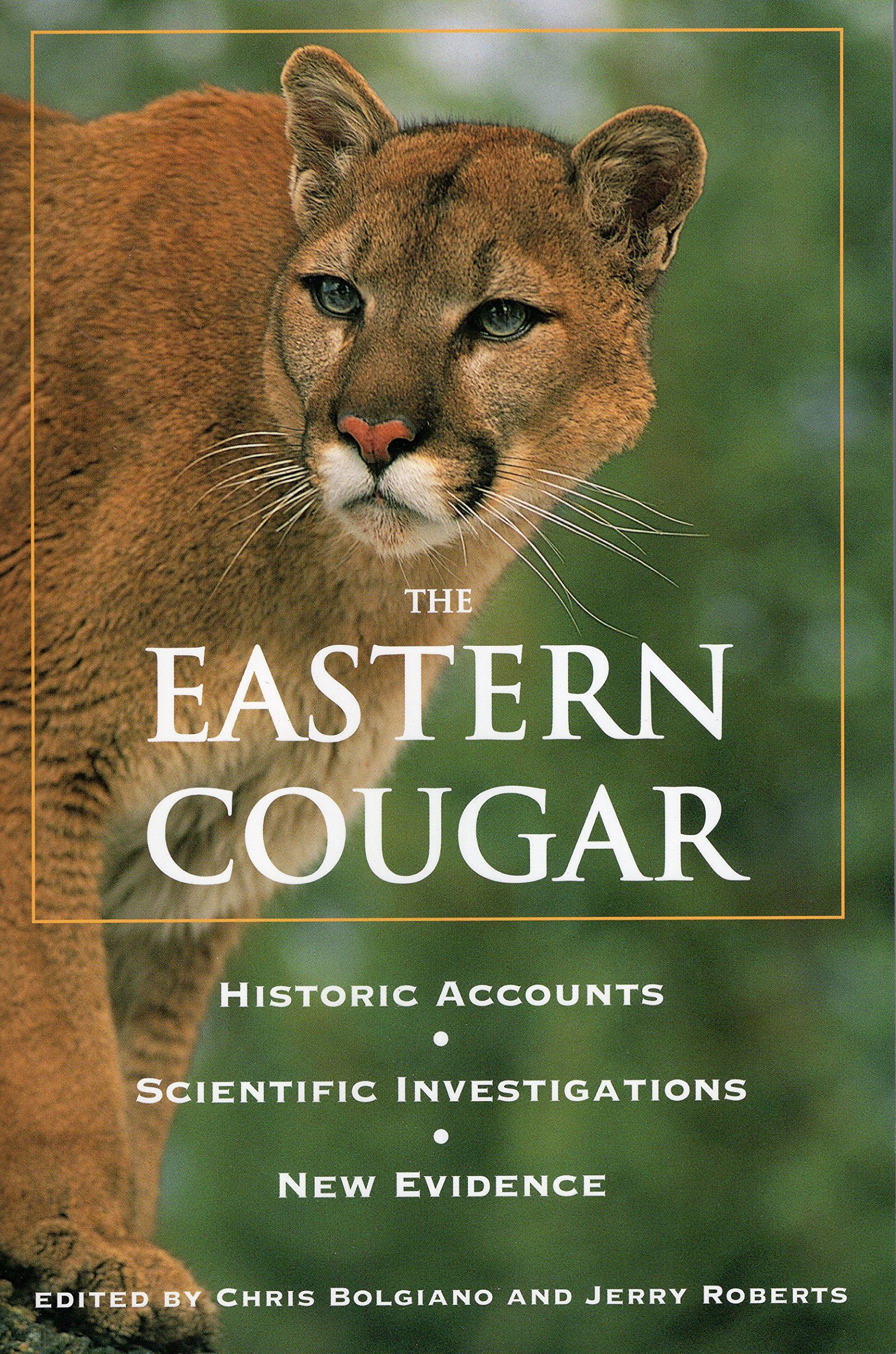 eastern puma research network