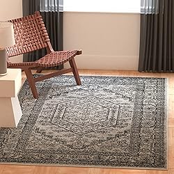 SAFAVIEH Adirondack Collection 4' Square Silver