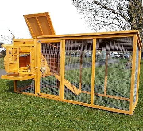 Cocoon Chicken Coop Hen House Poultry Ark Nest Box New Large Coop With Innovative Locking Mechanism Perspex Windows Rear Vent Holes Cleaning