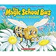 The Magic School Bus Inside a Beehive
