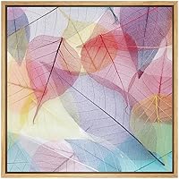 SIGNWIN Framed Canvas Wall Art Red, Yellow, Purple, Blue, Orange Transparent Leaves Botanical Plants Photography Minimalism Modern XRay Relax/Calm for Living Room, Bedroom, Office - 16x16 inches