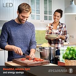 SYLVANIA ECO LED A19 Light Bulb, 60W