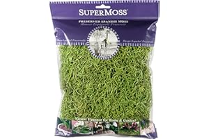 SuperMoss (26907) Spanish Moss Preserved, Grass, 4oz, 120 cubic in Bag (Appx. 4oz) (7 59834 26907 6)