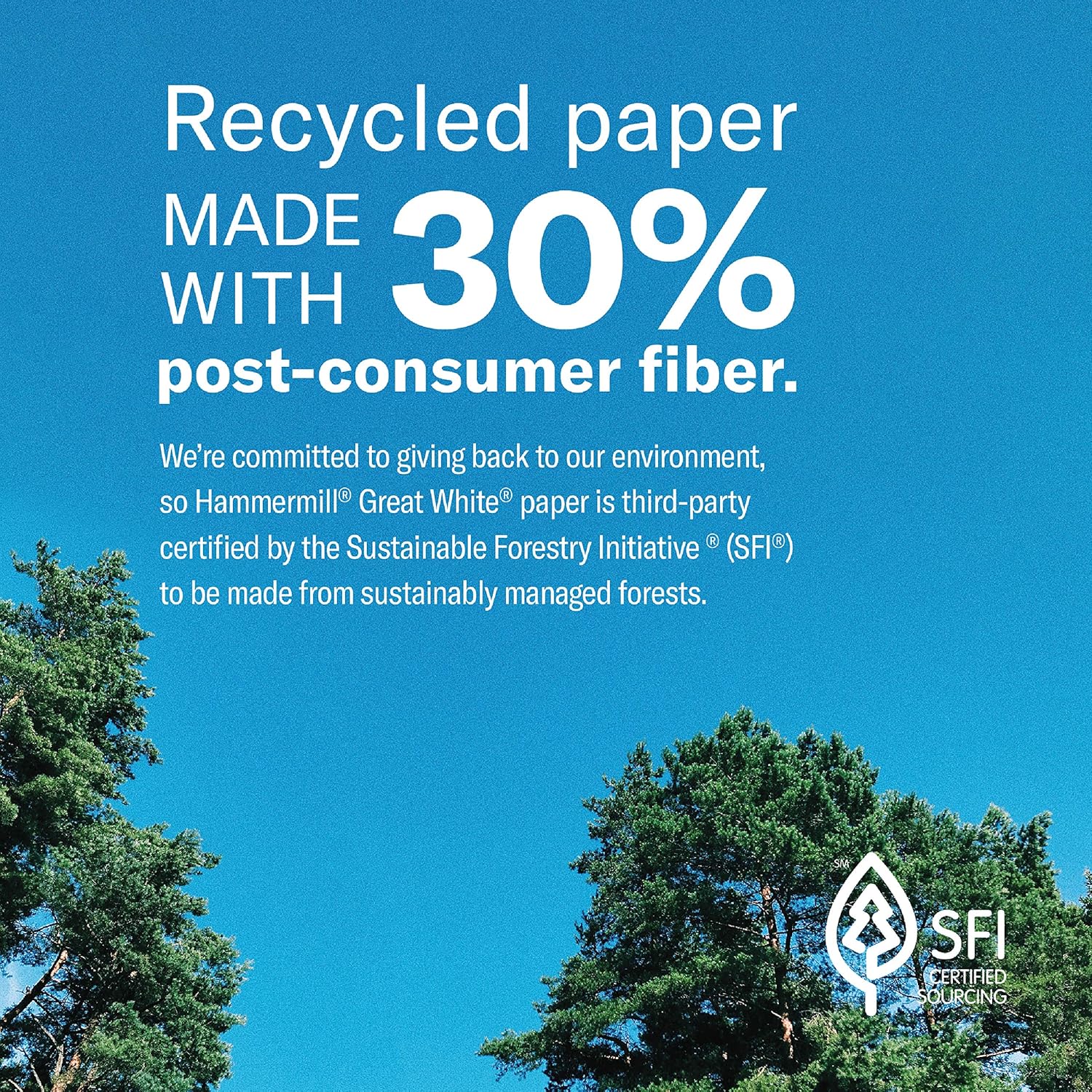 Hammermill Printer Paper, Great White 30% Recycled Paper, 8.5 x 11 - 5 Ream (2, 500 Sheets) - 92 Bright, Made in the USA : Office Products
