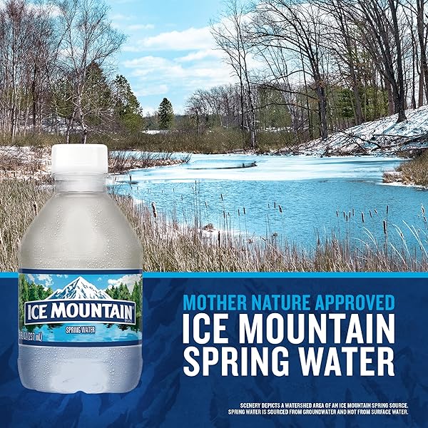 ICE MOUNTAIN SPRING WATER, 12 PACK – REFRESHING CRISP BOTTLED WATER – 8 FL OZ MINI BOTTLE