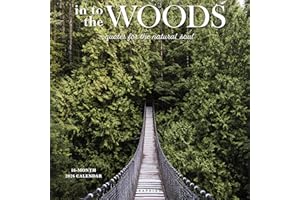 Graphique 2026 Into the Woods Wall Calendar | 12” x 12” | Thick Paper | Home & Office Organizer | Large Monthly Grid | 3 Languages & Marked Holidays | 4 Month Preview Page for 2027