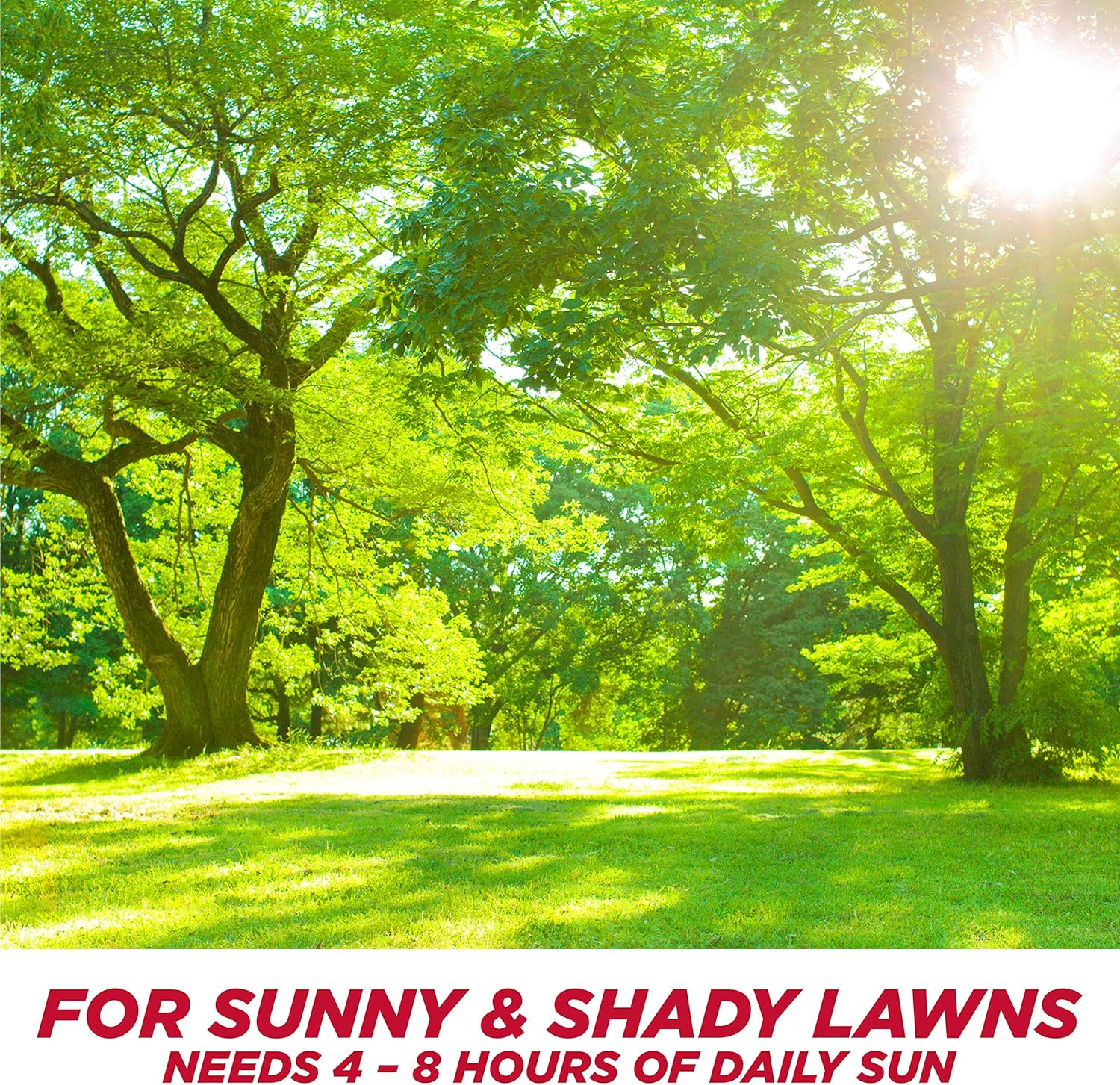 Pennington 100086822 One Step Complete Grass Seed For Sun & Shade Areas, 8.3 Pounds : Grass Plants : Garden & Outdoor