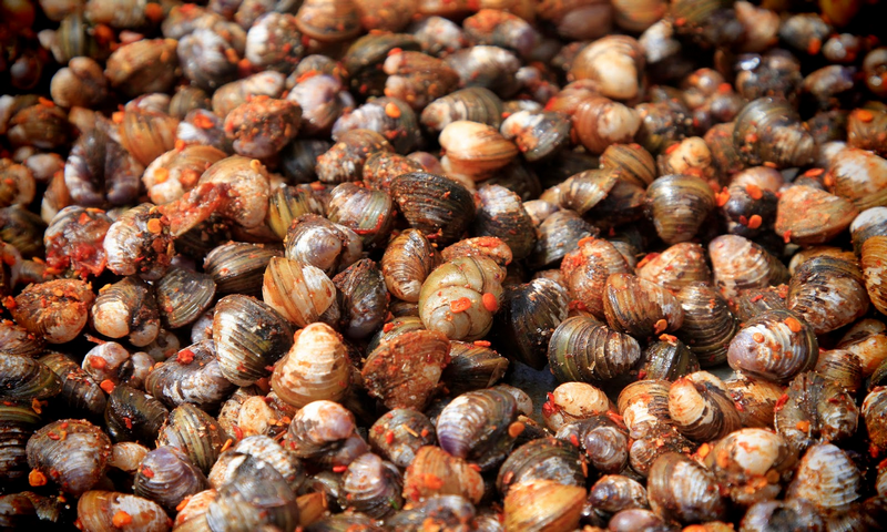 Thebakingrobot - //medicalbooks.filipinodoctors.org