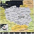 3dRose Modern Map of Poland in Vivid Color Mouse Pad (mp_160222_1)