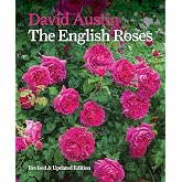 The English Roses