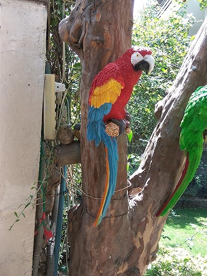 Wonderland Red 18.5 Inches Height large wall parrot in Red For Home / Garden & Outdoor decor , wall decoration, wall hanging, bird animal statue, balcony decor, kids room