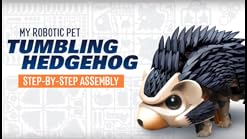 tumbling hedgehog amazon